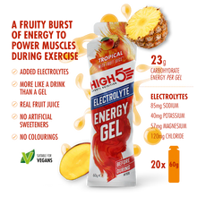 Load image into Gallery viewer, HIGH5 Energy Gel Electrolyte 20 x 60g