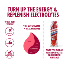 Load image into Gallery viewer, HIGH5 Energy Gel Electrolyte 20 x 60g