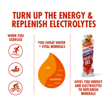 Load image into Gallery viewer, HIGH5 Energy Gel Electrolyte 20 x 60g